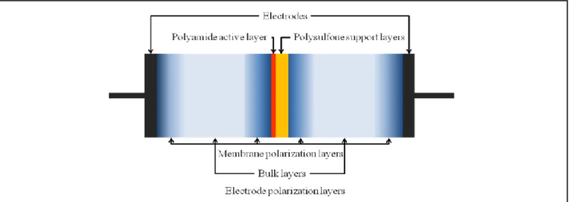 Figure 1: Schematic representation of the impedance measurement system. 
