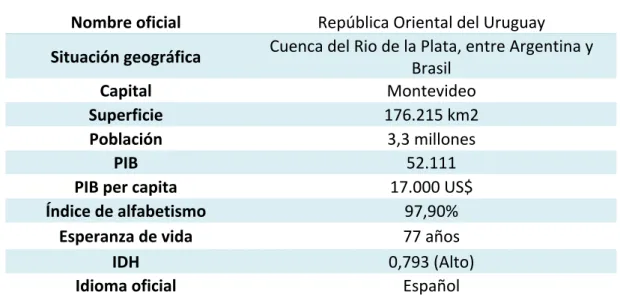Gráfico 7-1: Síntesis del Uruguay en 2014  