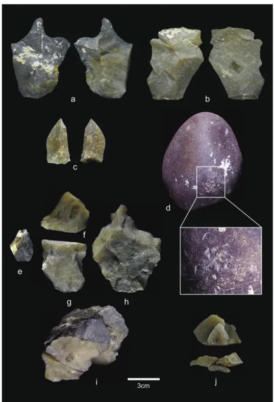 Fig. 9. Lithic assemblage of Pit 1 level 2 (Unit II) (Barranc de la Boella). a), b) and c) ﬂakes of chert; d) hammerstone; e-h) retouched ﬂakes and simple ﬂake from raw material group 6, conforming the reﬁt num