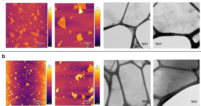 Figure 1. AFM and TEM analysis of graphene oxide (GO) (a) and graphene oxide nanocolloids (GOC)  (b)