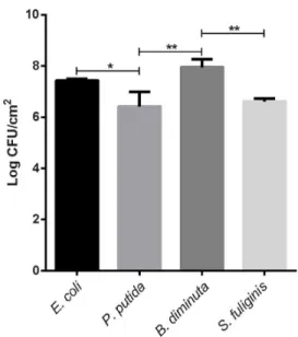Figure  3.  Ability  of  different  bacterial  strains  to  attach  to  PCL  fibers.  Data  represent  three  independent replicates
