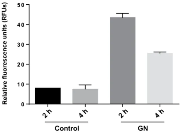 Figure 2.  Oxidative stress (ROS) determination of S. cerevisiae cells exposed to 160 mg L −1  of GN during 2  and 4 hours