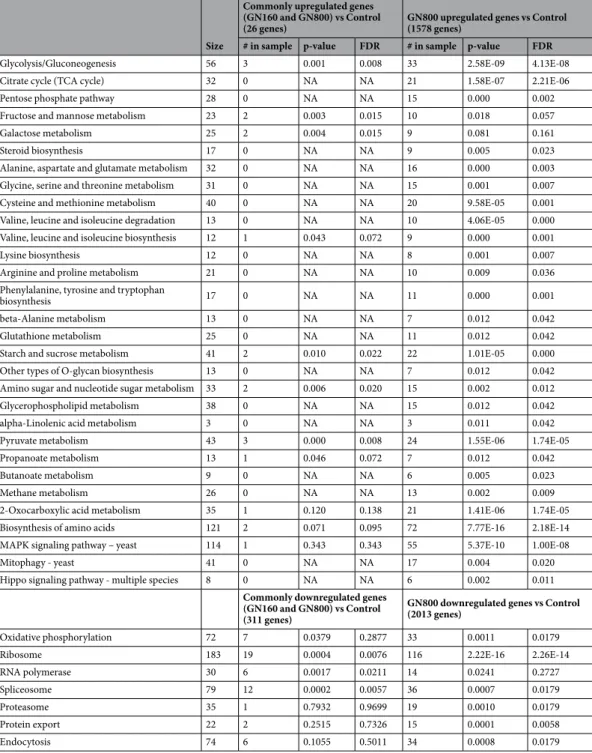 Table 2.  Metabolic pathway enrichment analysis. Size indicates number of genes in the genome assigned to  the pathway, whereas #in sample refer to the considered set