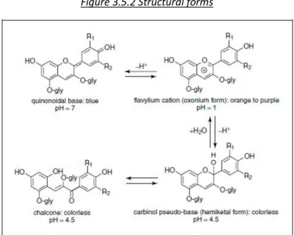 Figure 3.5.2 Structural forms 