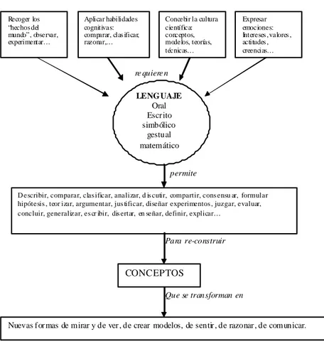 Figur a 2.3: Formación de nuevos conceptos (Fuente: Gómez-Moliné y Sanmartí,  1999)