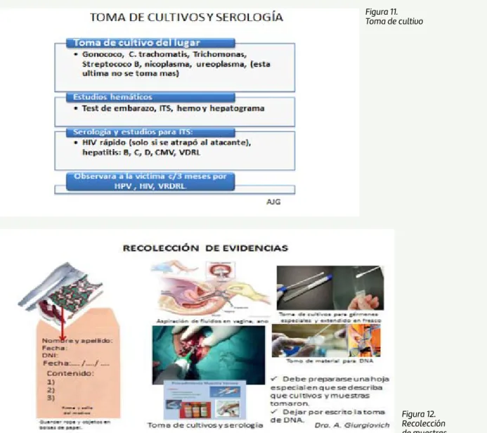 Figura 4. Valoración puberal: edad ósea.