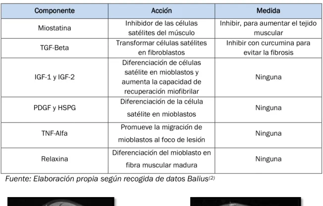 Tabla 2. Componentes mayoritarios en la fase regenerativa 