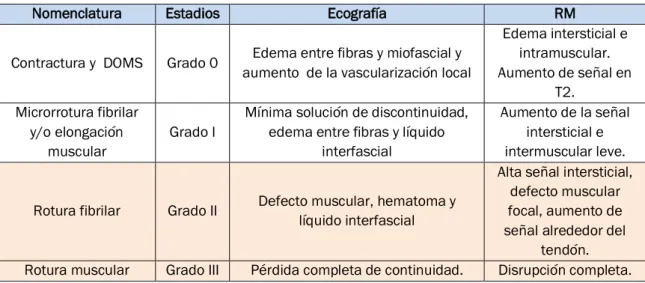 Tabla 7. Clasificación de las lesiones musculares según criterios por imagen (1)