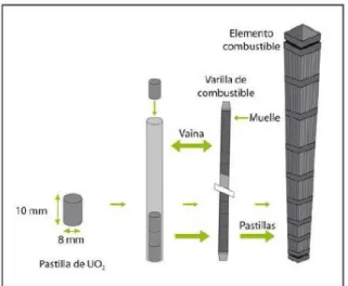 Figura 4.4. Elemento de combustible nuclear [1] 