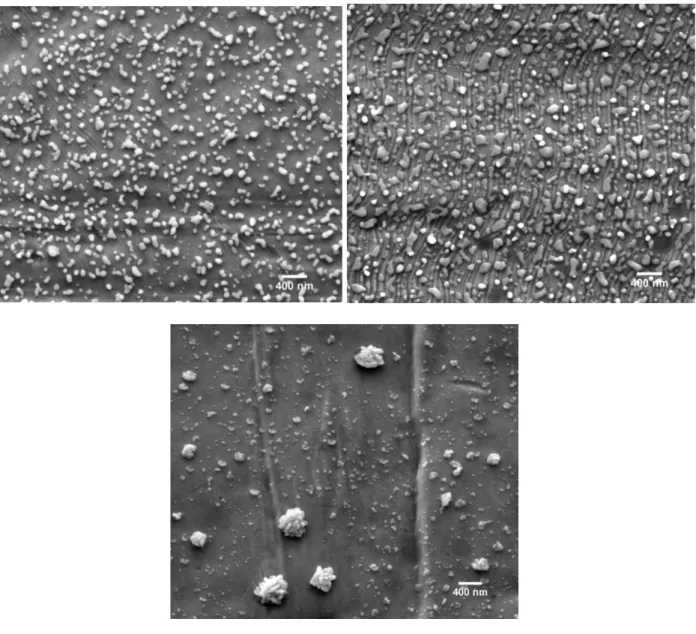 Figure 8. SEM image of AgNPs generated in presence of EDTA at different deposition stages: 