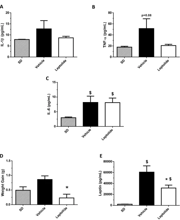 Figure  5.  Prolonged  leptolide  administration  decreases  body  weight  gain  and  circulating  leptin. 