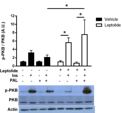 Figure  2.  Leptolide  prevents  palmitate‐induced  insulin  resistance  in  HepG2  cells.  Western  blot  analysis of PKB and p‐PKB in HepG2 cells treated with leptolide (0.1 μM) or vehicle, in the presence  or absence of palmitate. Cells were stimulated 