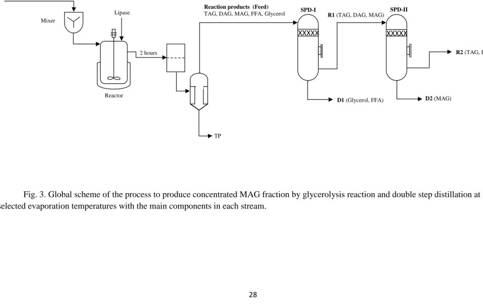 Fig. 3. Global scheme of the process to produce concentrated MAG fraction by glycerolysis reaction and double step distillation at  selected evaporation temperatures with the main components in each stream