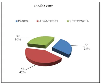 Gráfico Nº 23: Tercer año 2009 