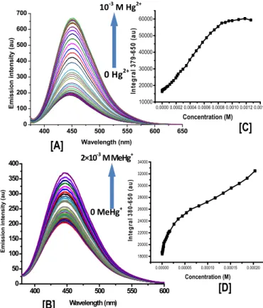 Figure  3.  Left:  Fluorescence  curves  by  addition  of  increasing  concentrations of [A] Hg(ClO 4 ) 2  in water to JG25, λ exc  = 369 nm  and  [B]  MeHgCl  in  water  to  JG25,  λ exc   =  364  nm.  Right: 