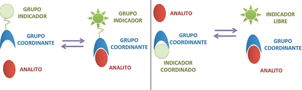 Figura 2.1. Representación esquemática de la aproximación unidad coordinante-unidad indicadora (izquierda), y de la aproximación por ensayos de desplazamiento (derecha)