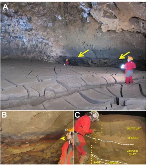 Fig. 8. Paleomagnetic sample site POL, where a large phreatic tube is filled with predominantly  argillaceous, subhorizontal sediments with large mud cracks
