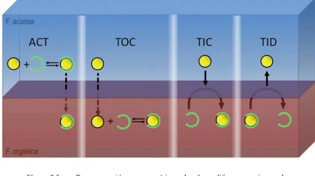 Figura 2.5  Representación  esquemática  de  los  diferentes  tipos  de  transferencia iónica asistida