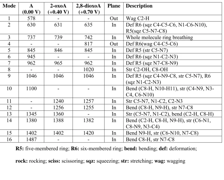 Table 1: Vibrational assignment of adenine (A), 2-oxoadenine (2-oxoA) and 2,8- 2,8-oxoadenine (2,8-dioxoA)
