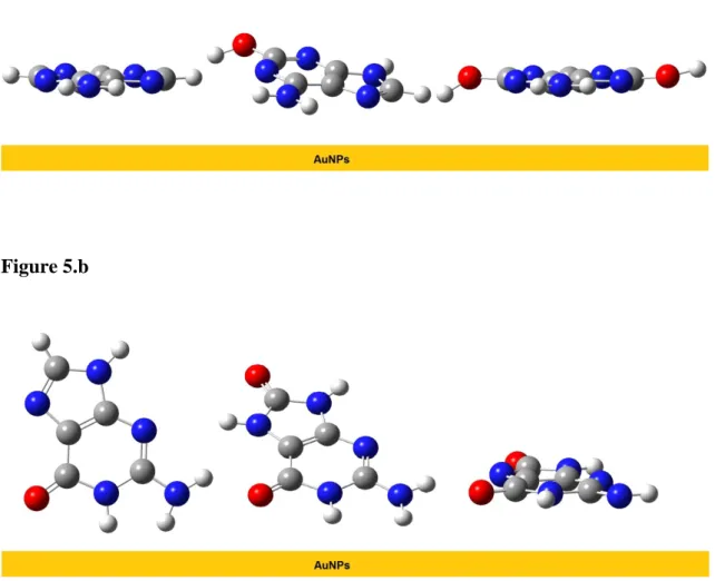 Figure 5  Figure 5.a 