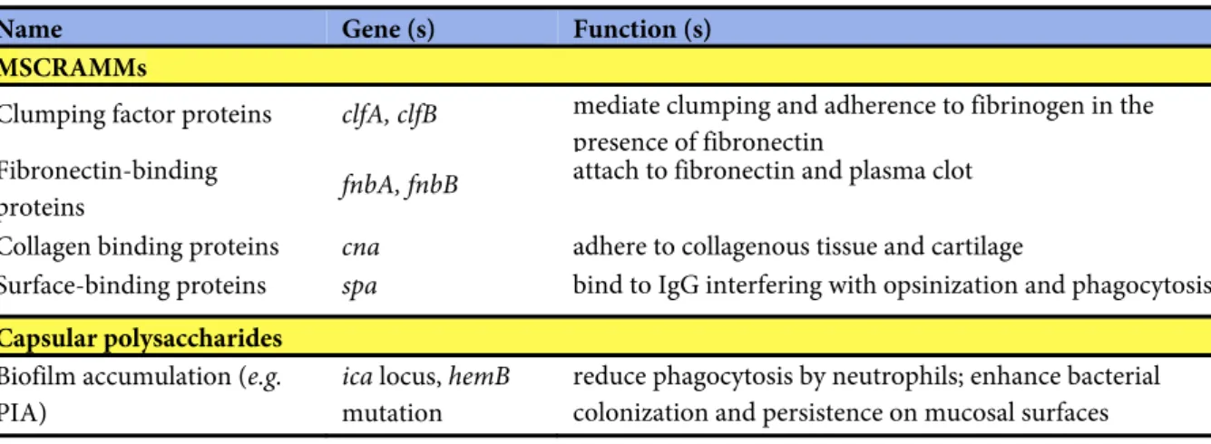 Table 2. Virulence factors involved in the pathogenesis of S. aureus (Gordon and Lowy, 2008; Costa et al., 2013) 