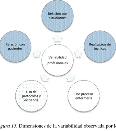 Figura 15. Dimensiones de la variabilidad observada por los estudiantes.  