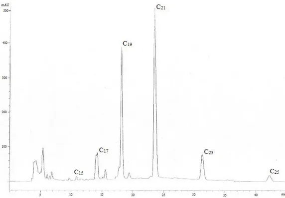Figure 1. HPLC-DAD chromatogram of AR in wheat bran oil obtained in run R6  