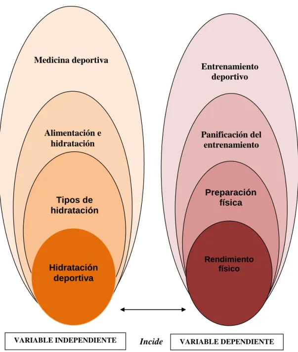 Gráfico N° 2  Red de inclusiones Conceptuales. 