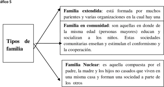 Gráfico 5