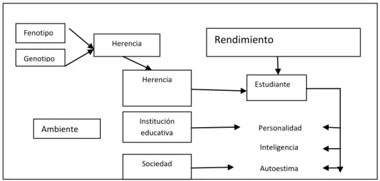 Gráfico 6