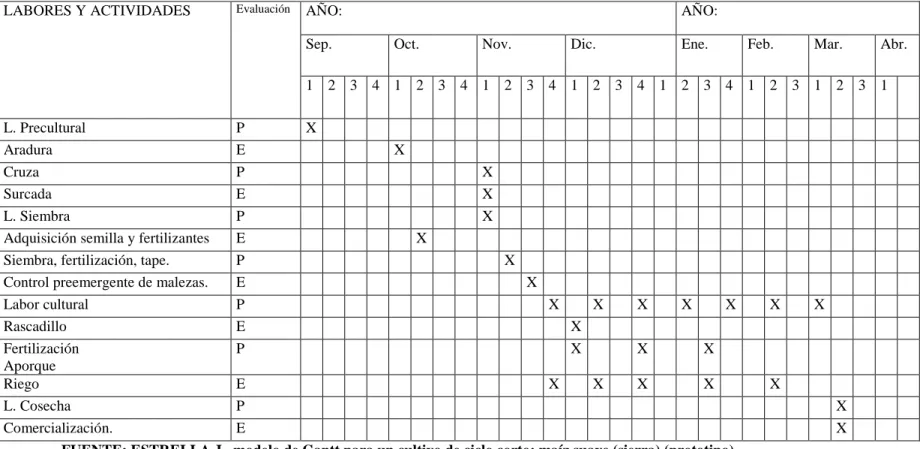 Tabla No 5 