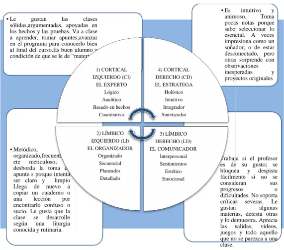 Gráfico N° 3: Cuadrantes Cerebrales 