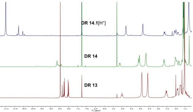 Figura 6. Espectro de RMN de protón de los compuestos DR13, DR14 y DR14.1.   
