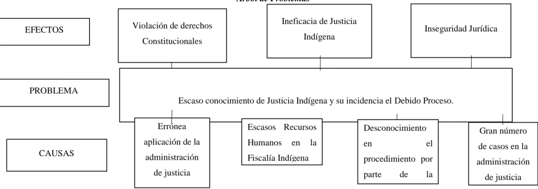 Gráfico N° 1: Árbol de Problemas 