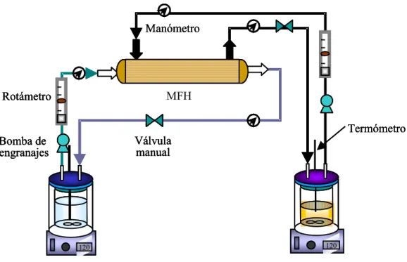 Figura 5.3.  Dispositivo  experimental  del  proceso  individual  de  extracción  o  de  reextracción