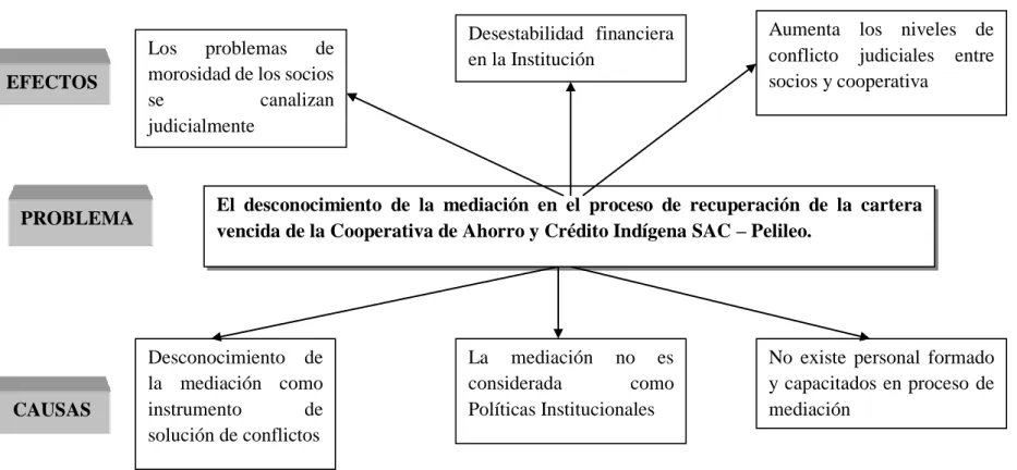 Cuadro N°  1 Causa-Efecto 