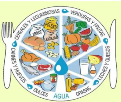 Gráfico N° 17 