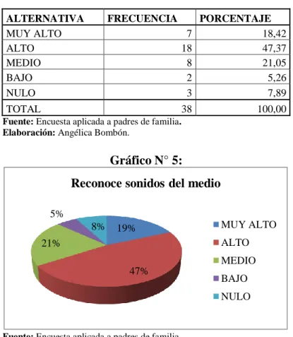 Gráfico N° 5: 