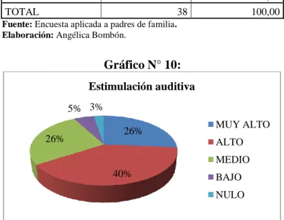 Gráfico N° 10: 