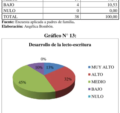 Gráfico N° 13: 