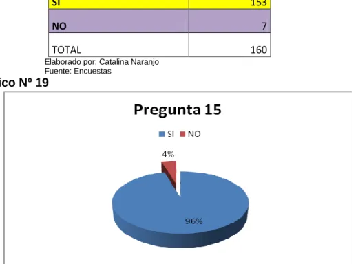 Gráfico Nº 19 