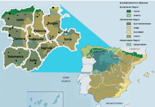 Figure 1. Map of Spain and Castilla y León region, showing the distribution of the raw honey samples  studied (n = 54) harvested in 2011