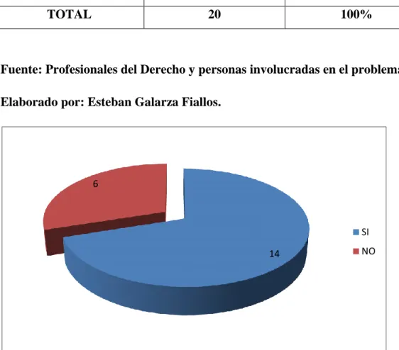 Gráfico Nº 9 