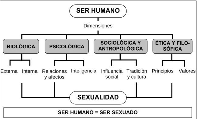 Cuadro 1.2). Este planteamiento constituye un eje indispensable del trabajo que  presentamos, así como del programa “SOMOS” de Educación Sexual