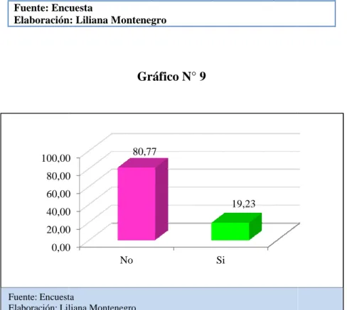 Gráfico N° 9 