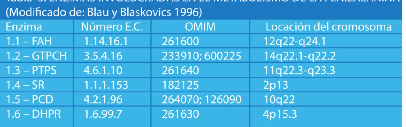 Tabla  3. ENZIMAS INVOLUCRADAS EN EL METABOLISMO DE LA FENILALANINA (Modificado de: Blau y Blaskovics 1996)