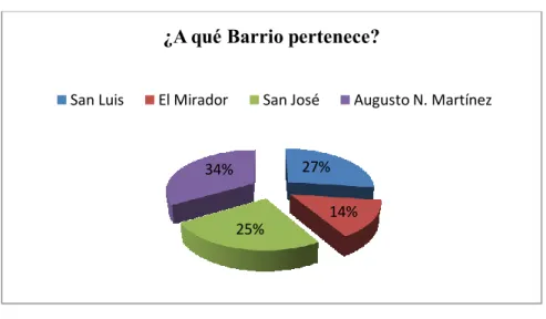 GRÁFICO Nº 5 