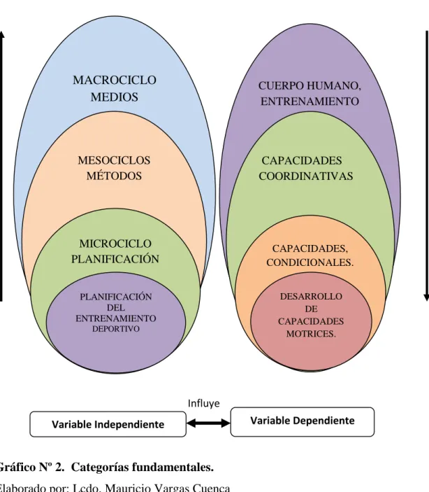 Gráfico Nº 2.  Categorías fundamentales.  