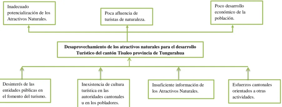 Gráfico  1 Árbol de problemas 