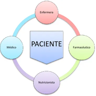 Figura 1. Equipo Interdisciplinario para terapia de Nutrición Parenteral (FELANPE, 2018)